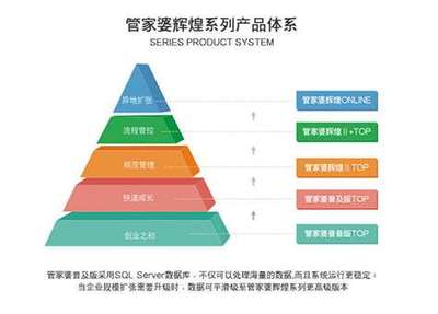 管家婆軟件 驅(qū)動(dòng)企業(yè)管理的數(shù)字化變革引擎